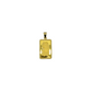 24k Gold Pamp 2.5g with 14k Border
